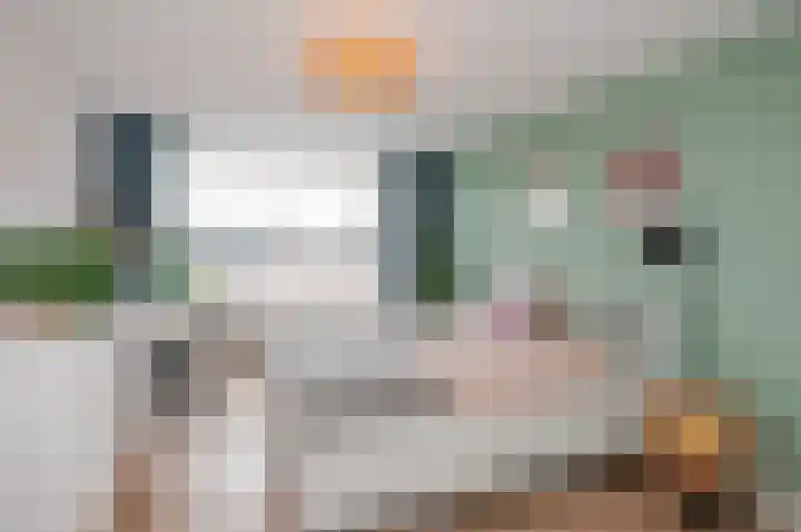 Oranjelust 38 Voorburg thumbnail 39