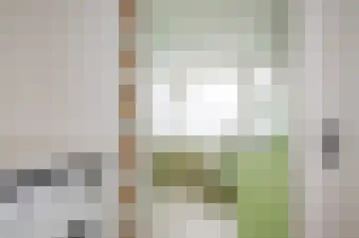 Oranjelust 38 Voorburg thumbnail 44