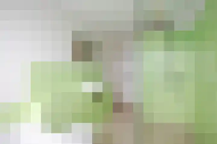Oranjelust 38 Voorburg thumbnail 48