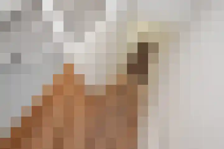 Oranjelust 38 Voorburg thumbnail 7