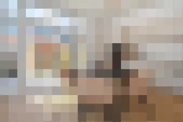 Oranjelust 4 Voorburg thumbnail 11