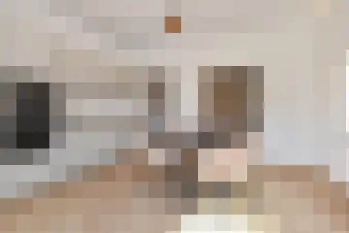 Oranjelust 4 Voorburg thumbnail 12