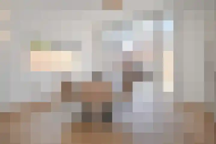 Oranjelust 4 Voorburg thumbnail 13