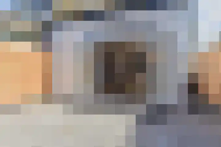 Oranjelust 4 Voorburg thumbnail 18