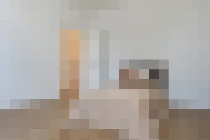 Oranjelust 4 Voorburg thumbnail 21