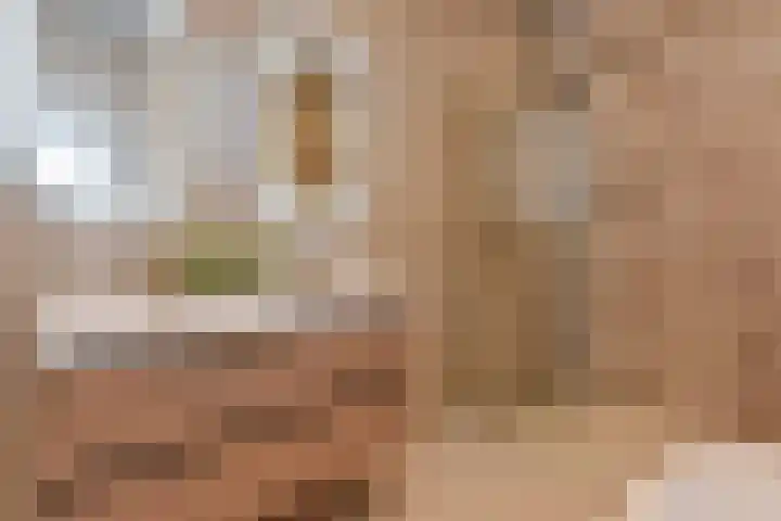 Oranjelust 4 Voorburg thumbnail 25