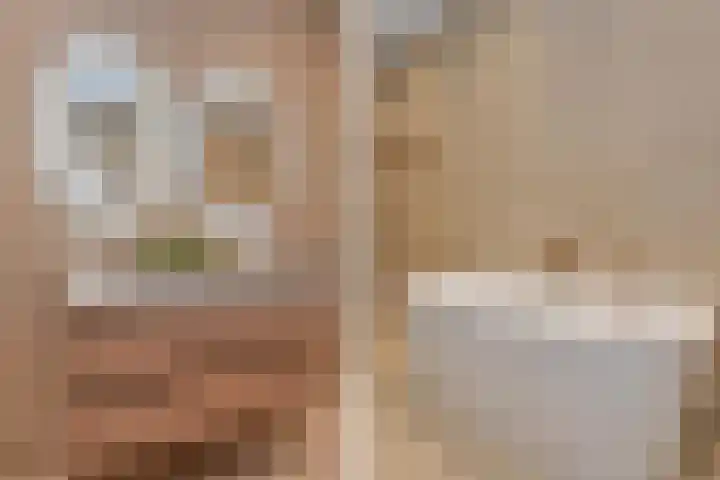 Oranjelust 4 Voorburg thumbnail 28