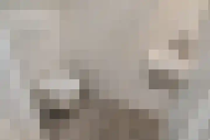 Oranjelust 4 Voorburg thumbnail 29