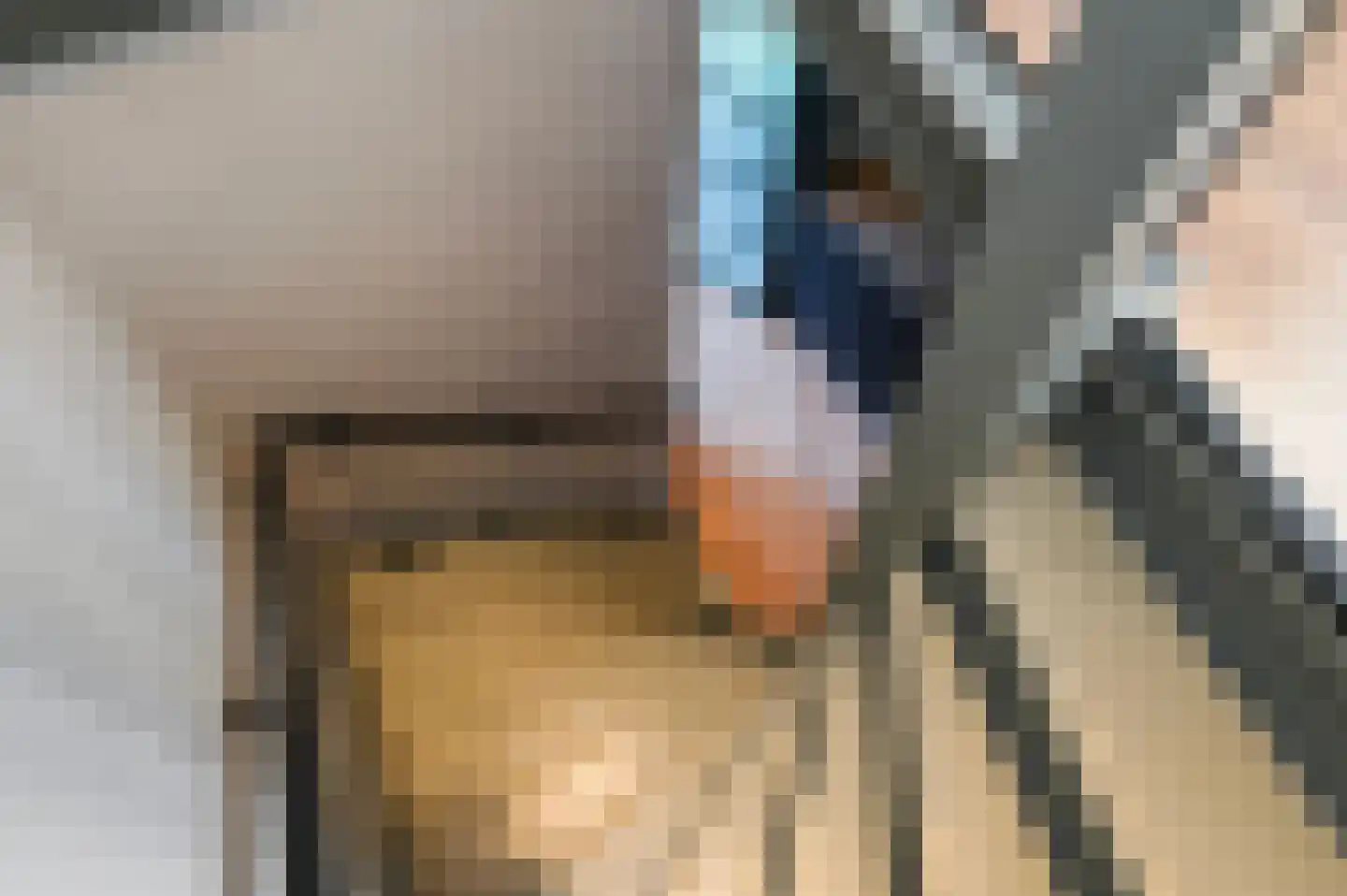 Oranjelust 54 Voorburg thumbnail 16