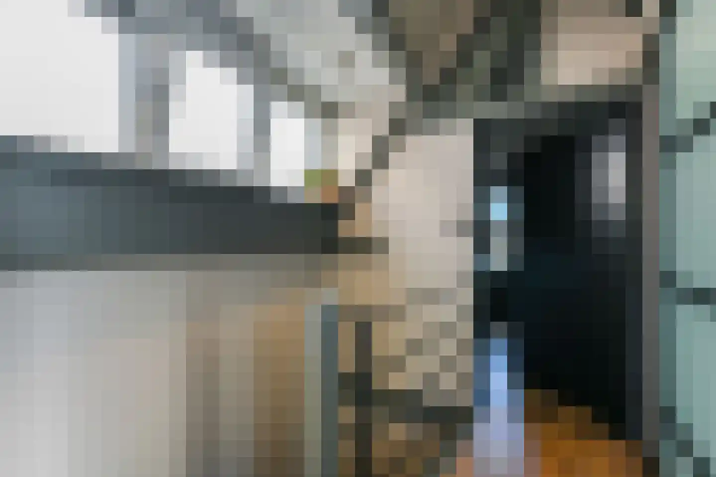 Oranjelust 54 Voorburg thumbnail 17