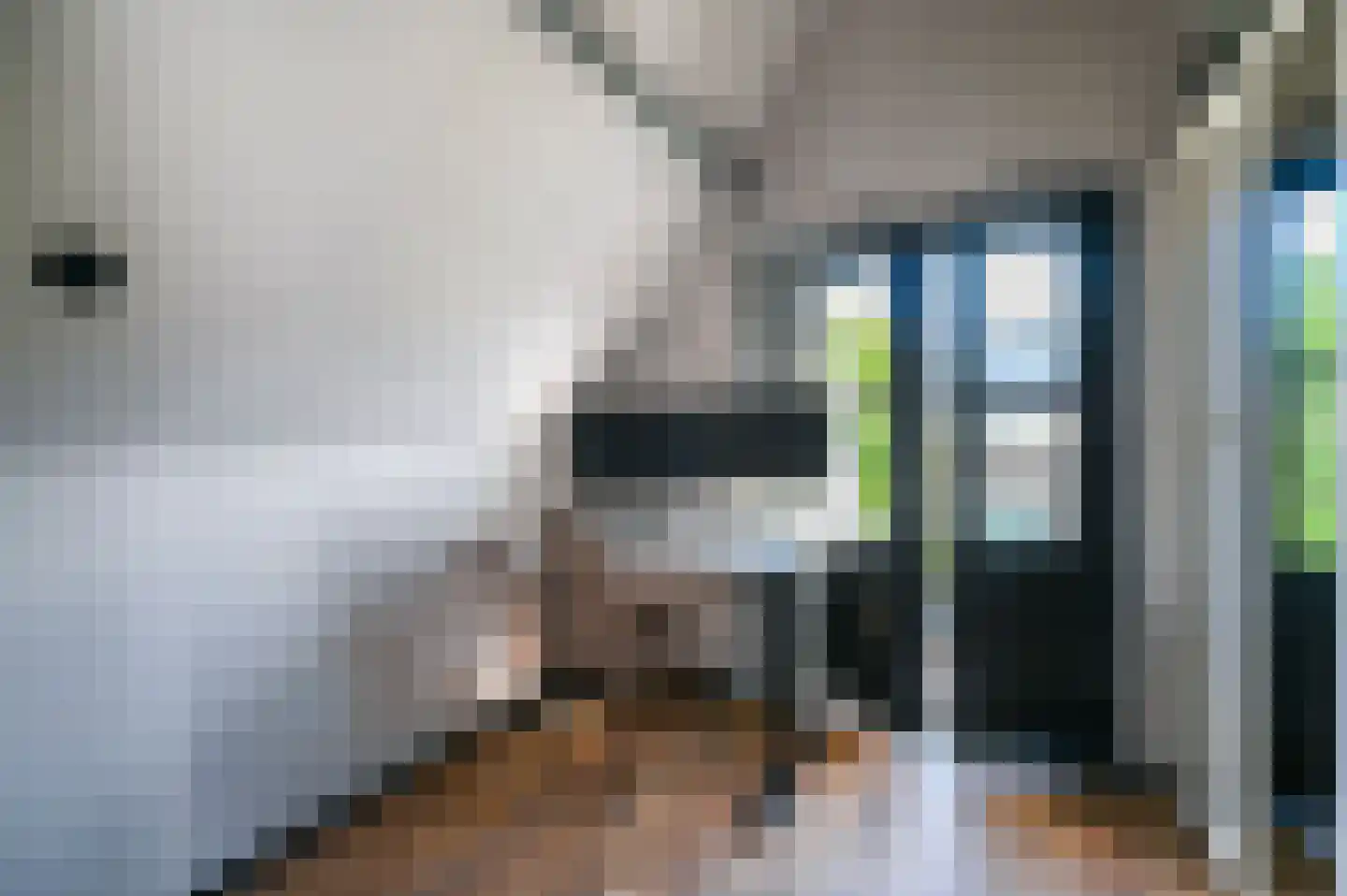 Oranjelust 54 Voorburg thumbnail 18