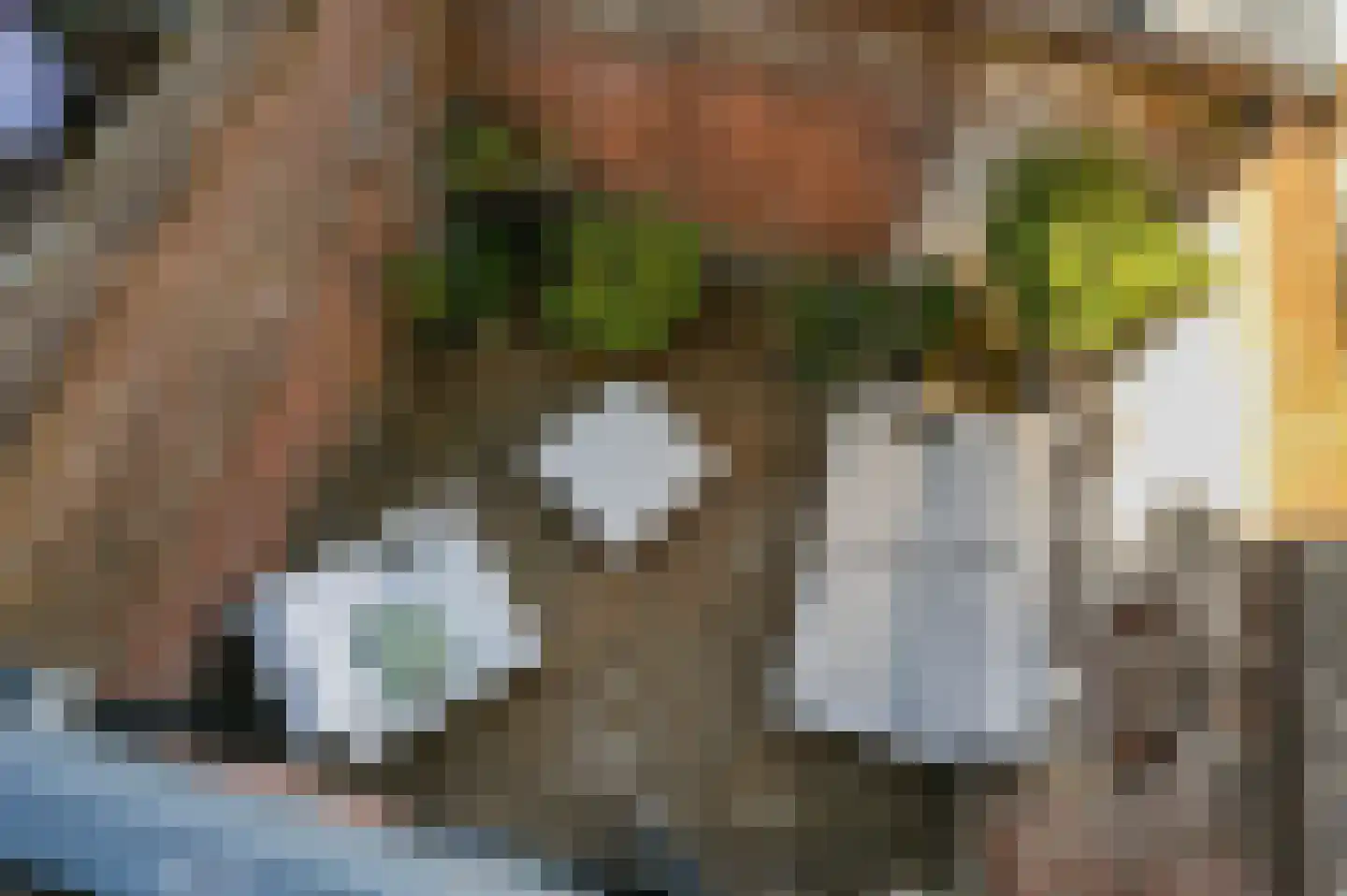 Oranjelust 54 Voorburg thumbnail 21