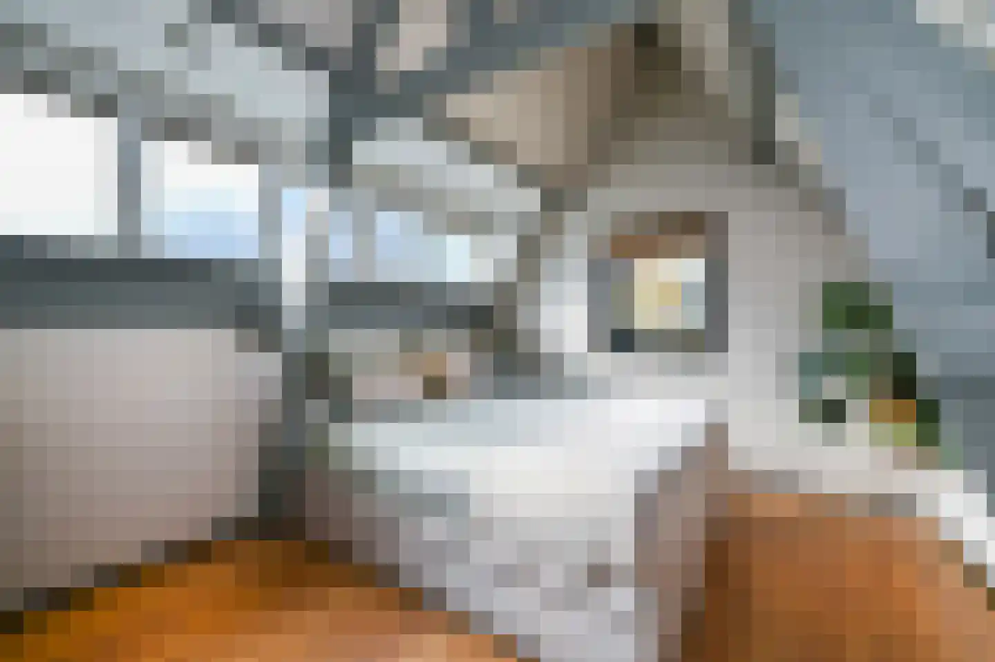 Oranjelust 54 Voorburg thumbnail 22