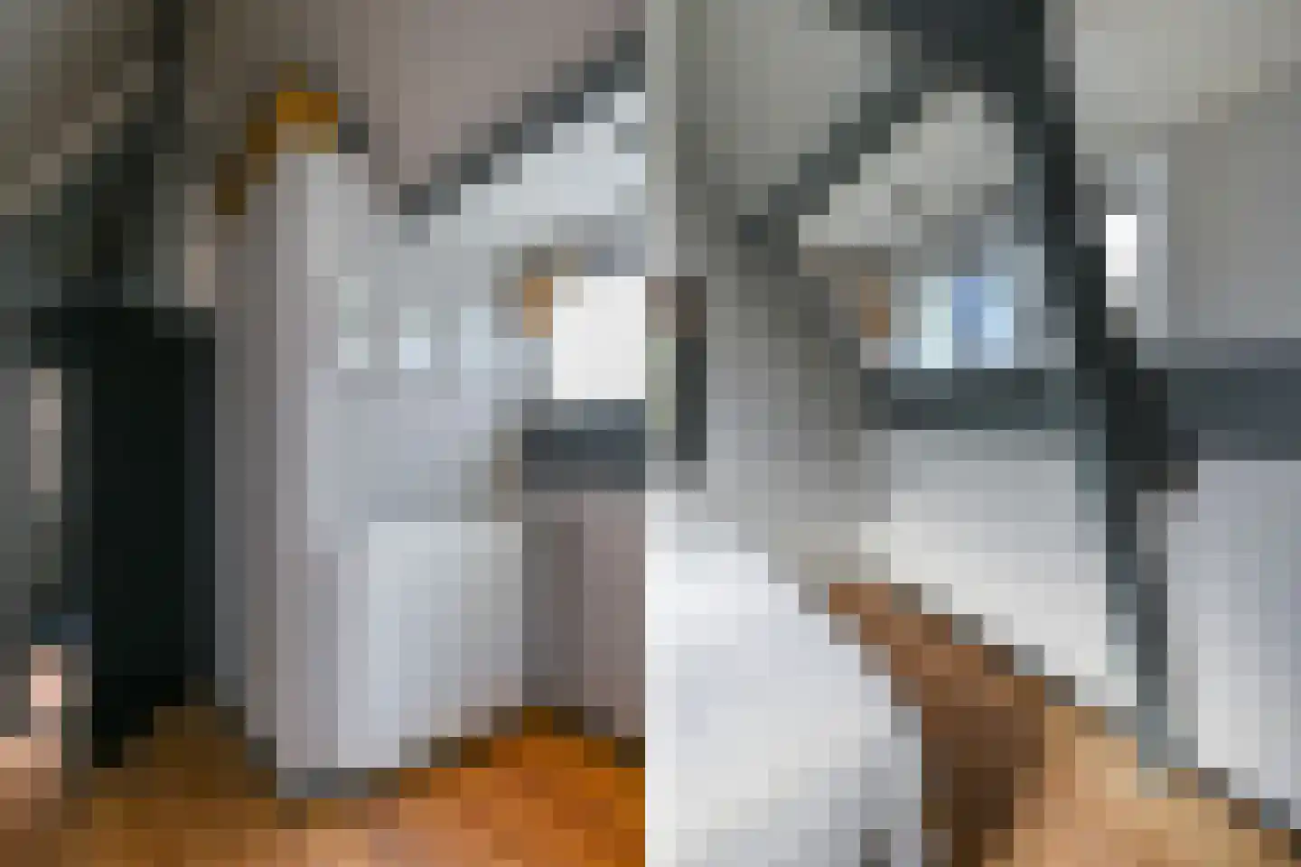 Oranjelust 54 Voorburg thumbnail 25