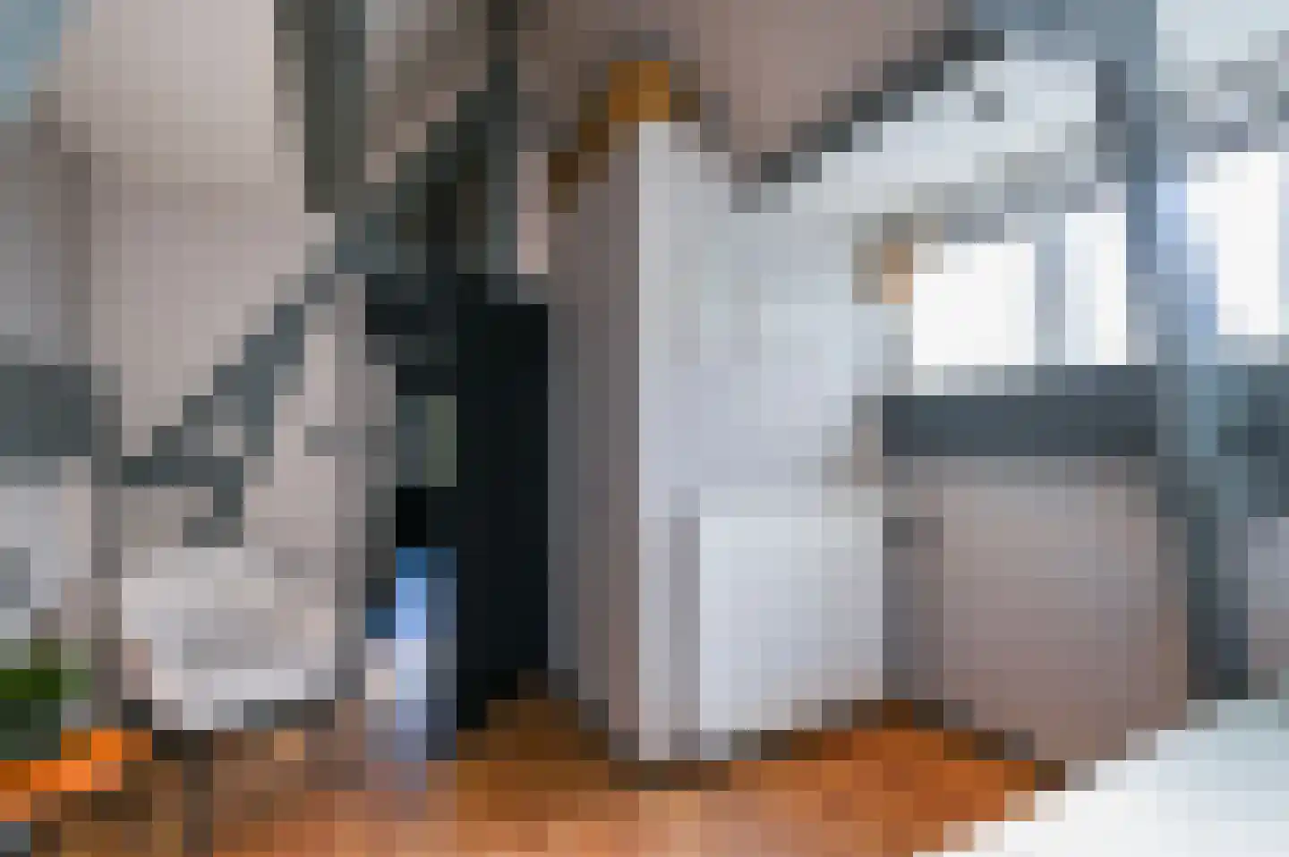 Oranjelust 54 Voorburg thumbnail 26