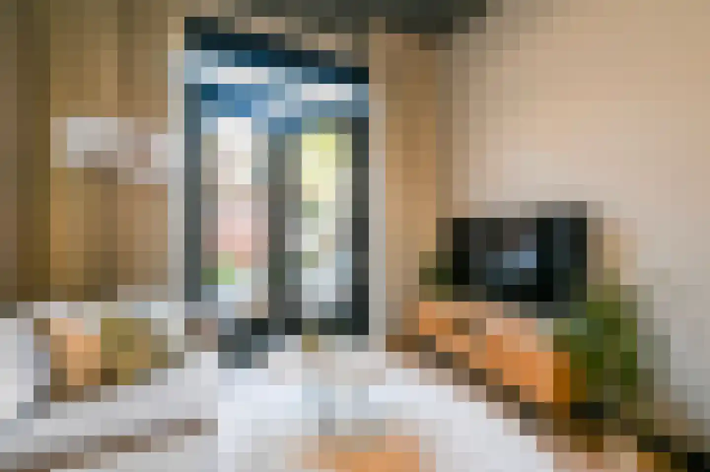 Oranjelust 54 Voorburg thumbnail 8