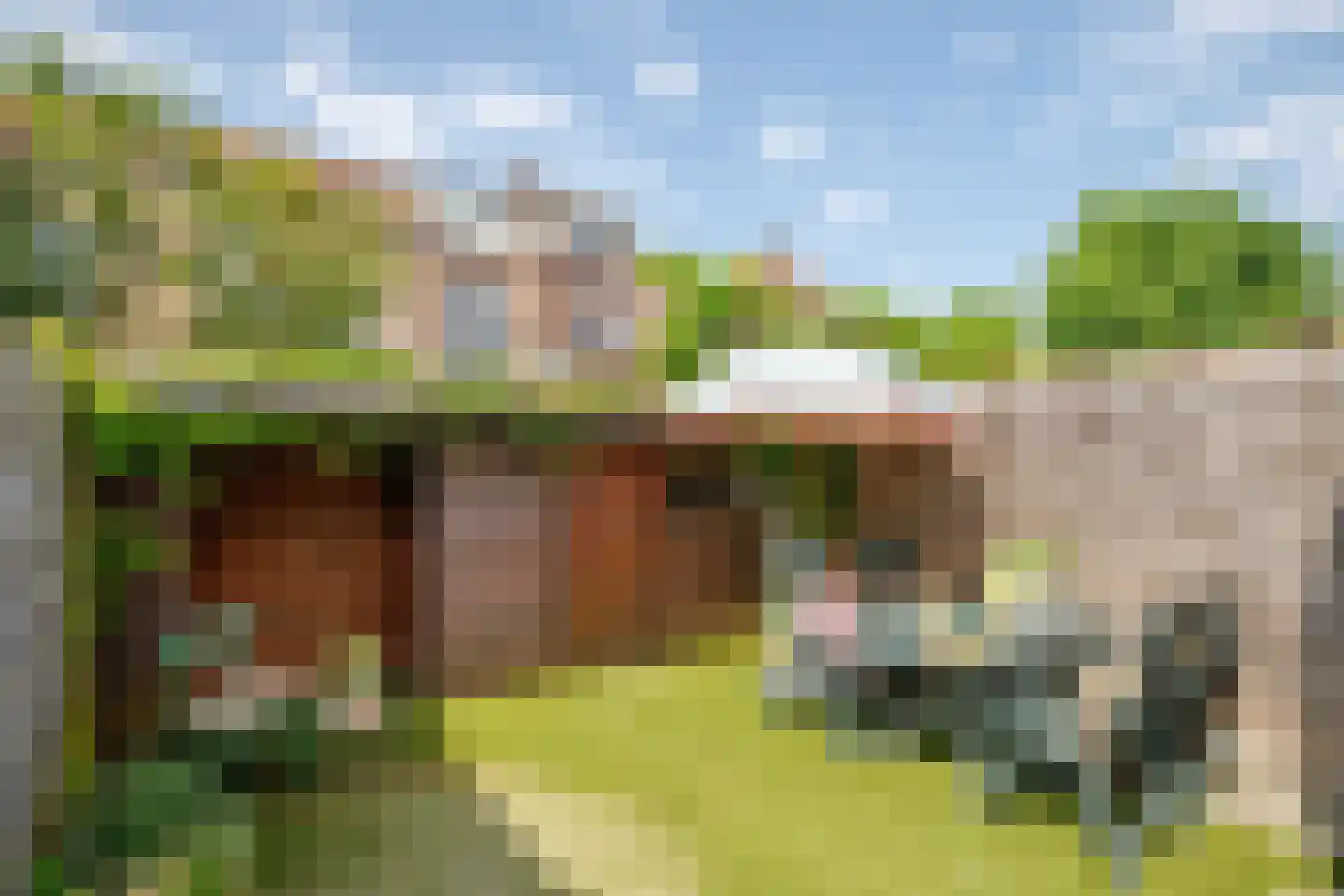 Oranjelust 72 Voorburg thumbnail 27