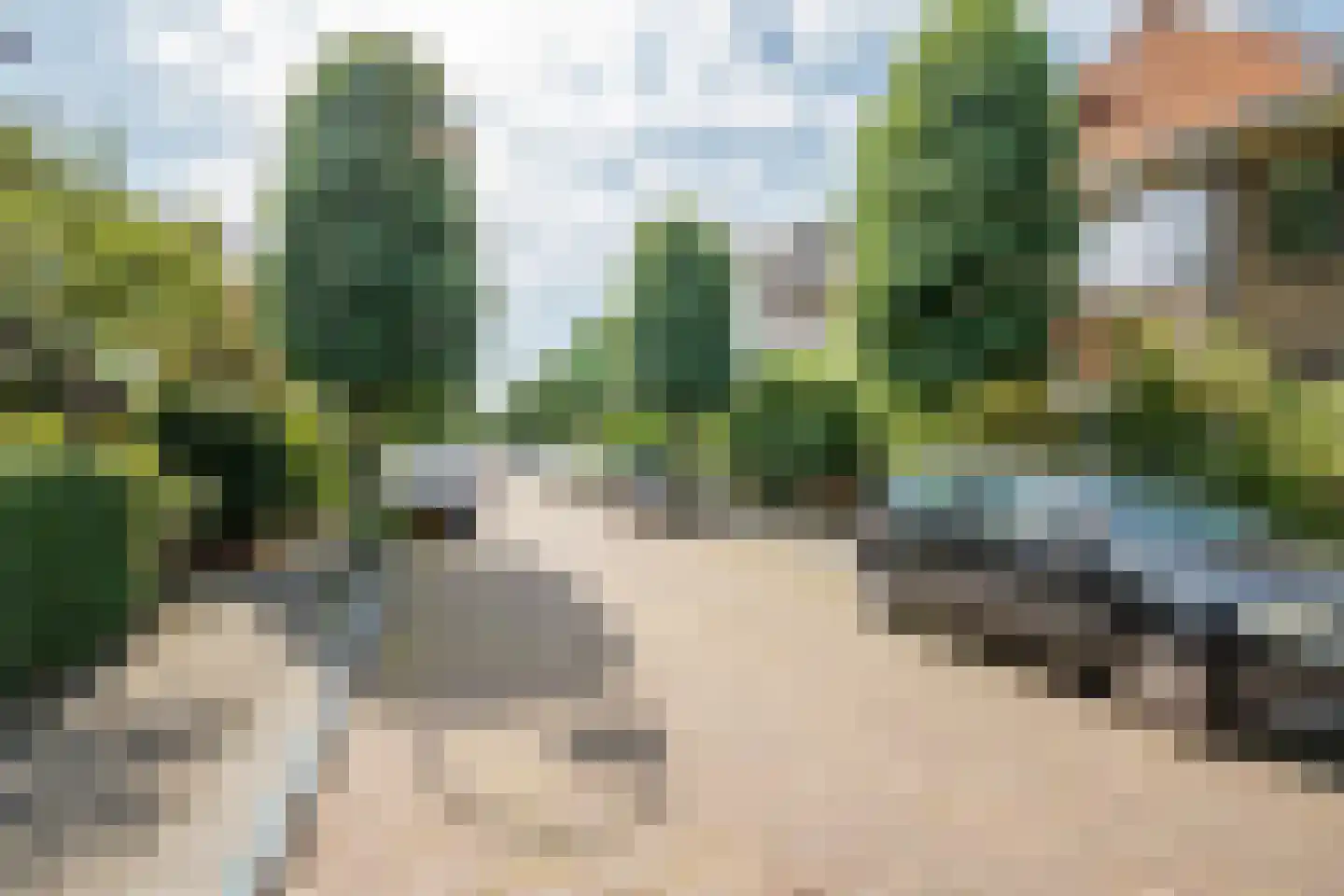 Oranjelust 72 Voorburg thumbnail 34