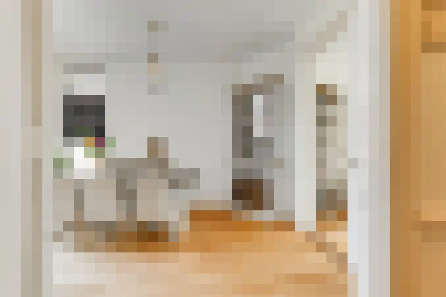 Oranjelust 84 Voorburg thumbnail 13