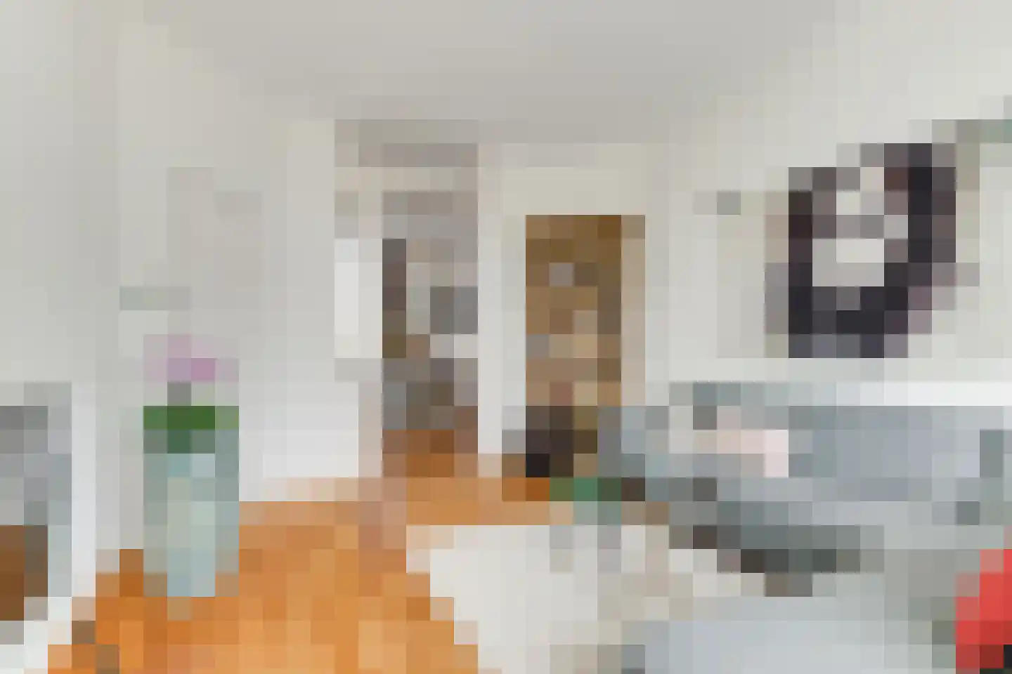 Oranjelust 84 Voorburg thumbnail 17