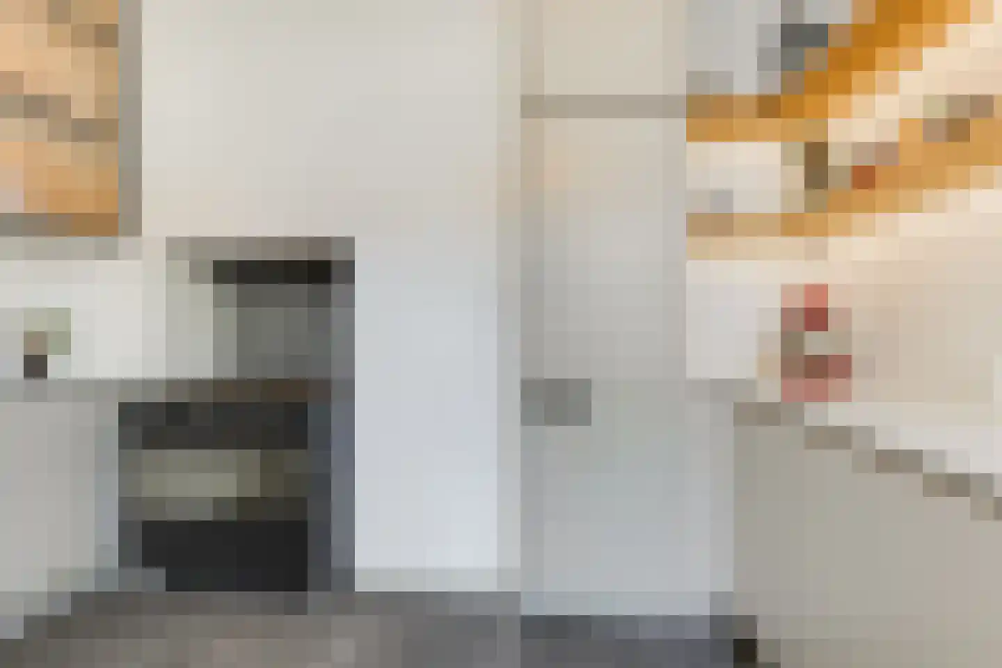Oranjelust 84 Voorburg thumbnail 26
