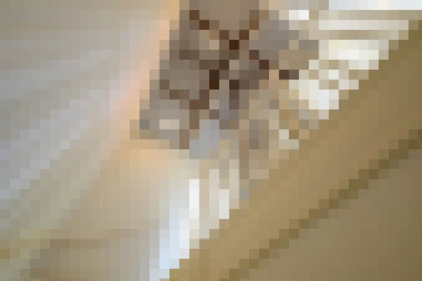 Oranjelust 84 Voorburg thumbnail 34
