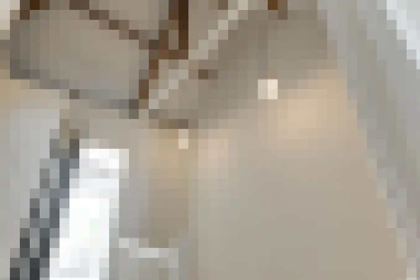 Oranjelust 84 Voorburg thumbnail 36