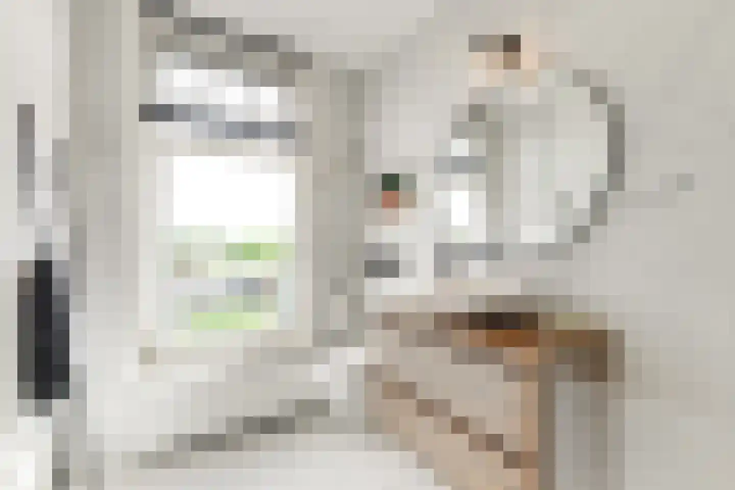 Oranjelust 84 Voorburg thumbnail 43