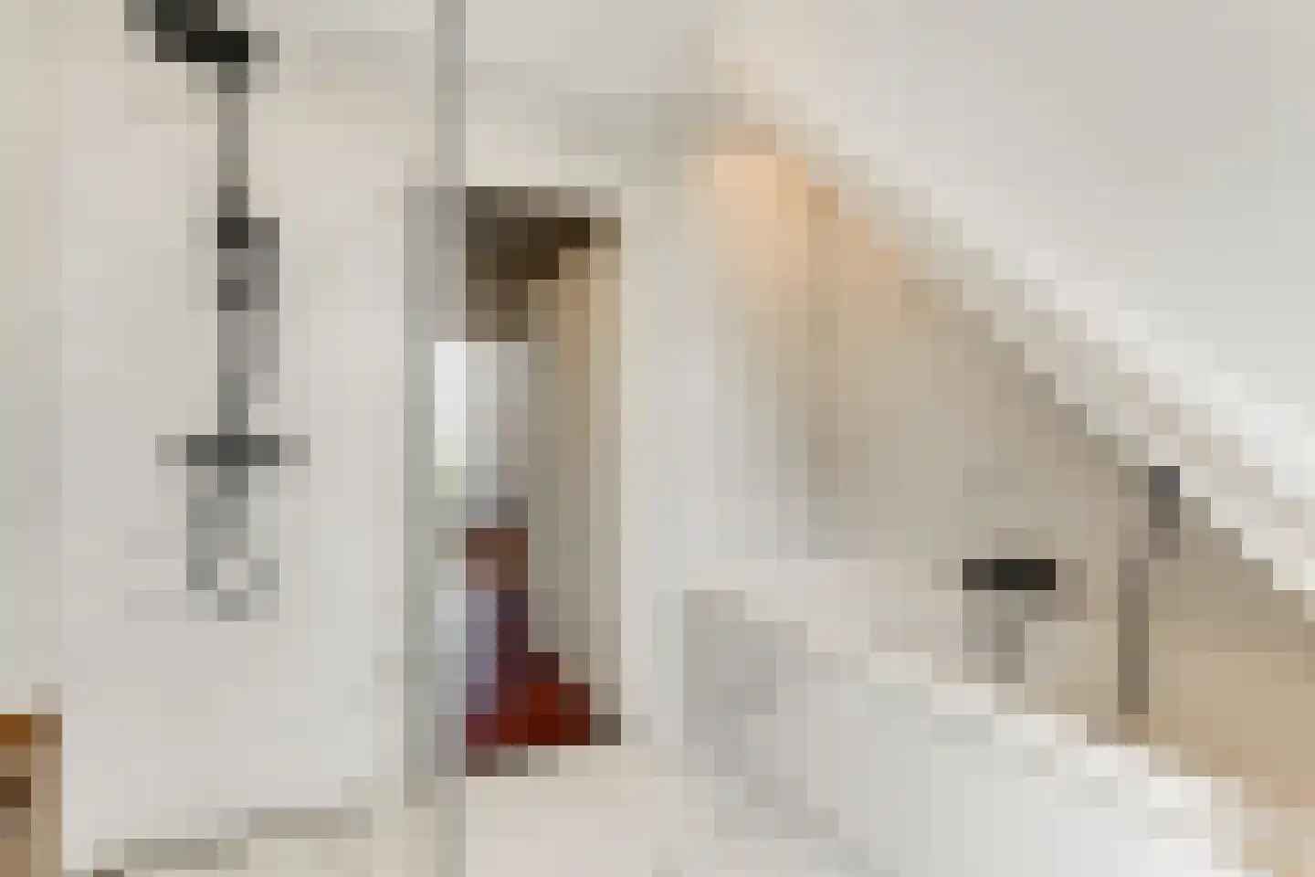 Oranjelust 84 Voorburg thumbnail 45
