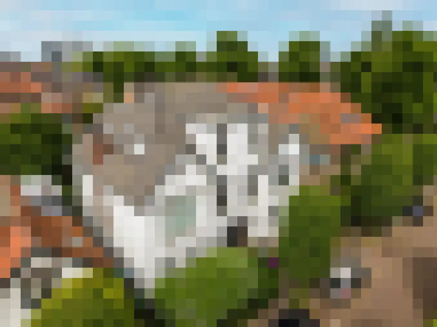 Oranjelust 84 Voorburg thumbnail 50