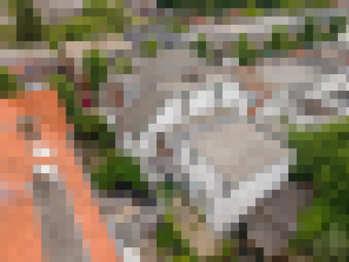 Oranjelust 84 Voorburg thumbnail 52