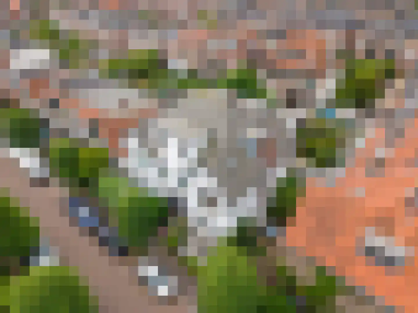 Oranjelust 84 Voorburg thumbnail 53