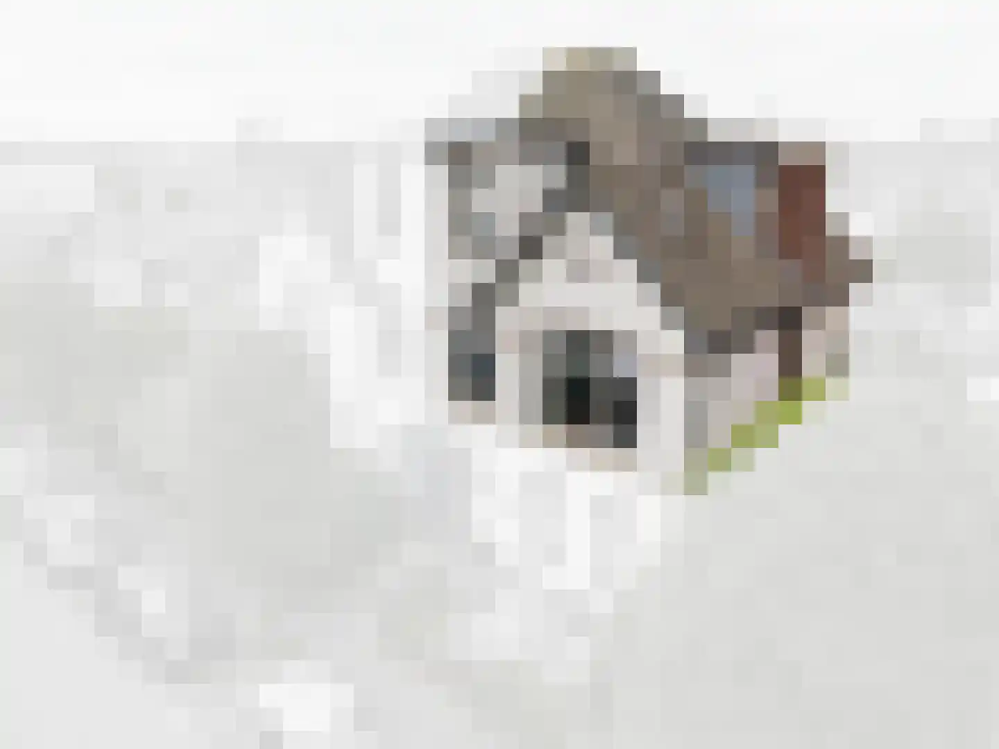 Oranjelust 84 Voorburg thumbnail 54