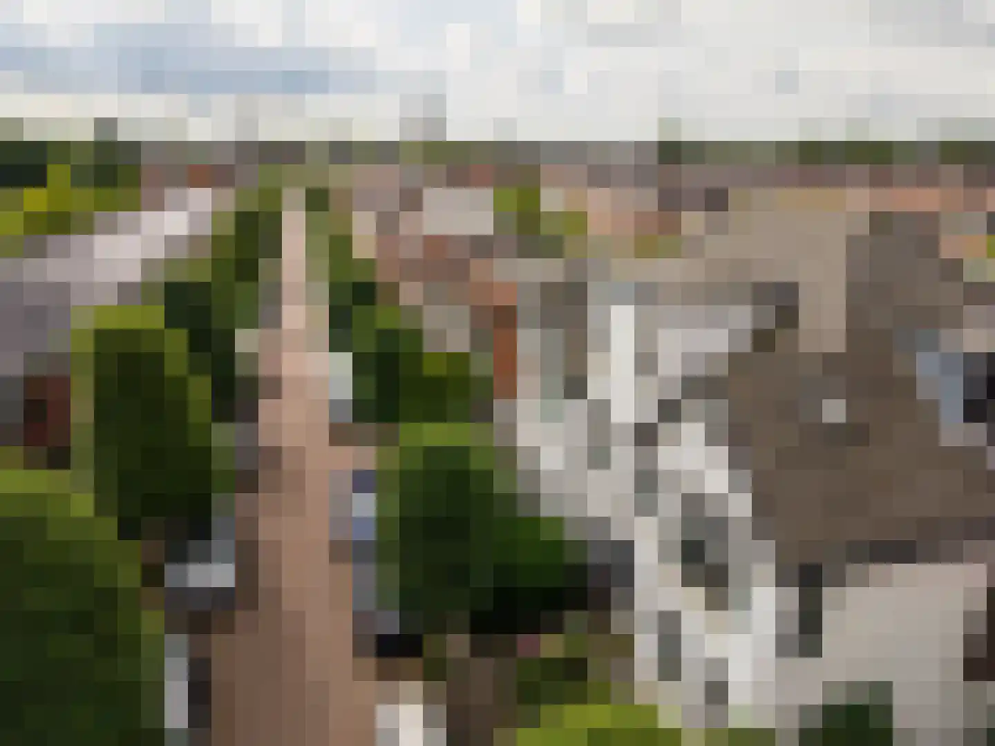 Oranjelust 84 Voorburg thumbnail 6