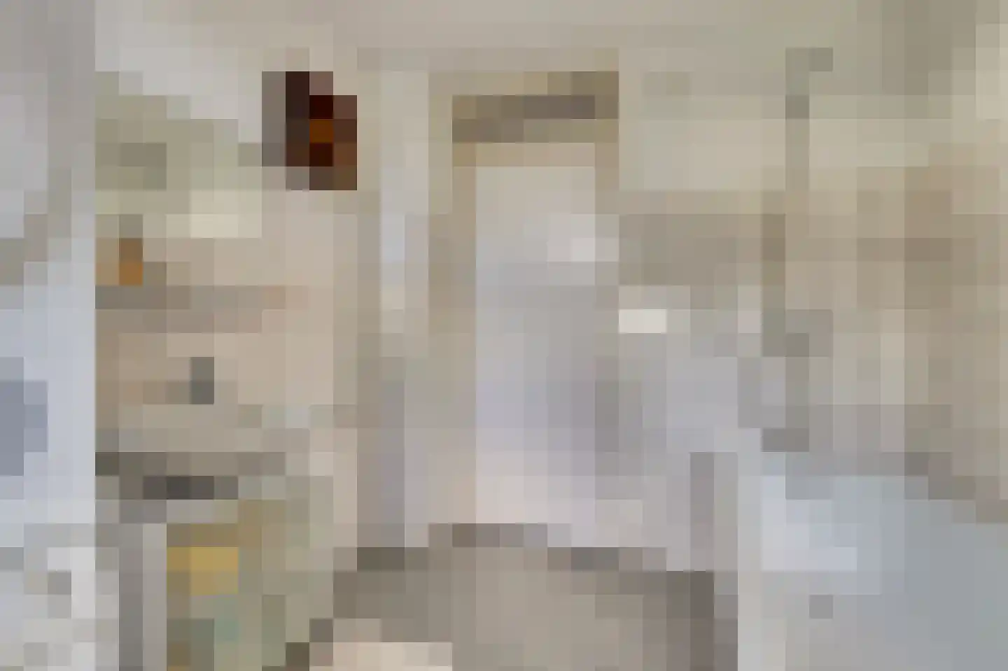 Oranjepad 14 Goes thumbnail 22