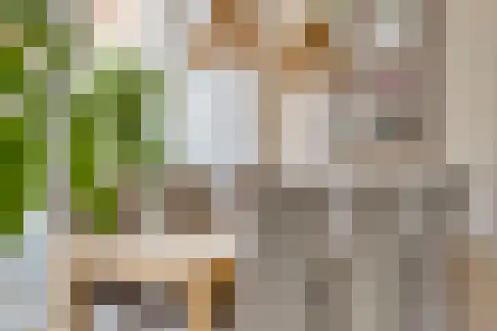 Oranjepad 20 Goes thumbnail 11