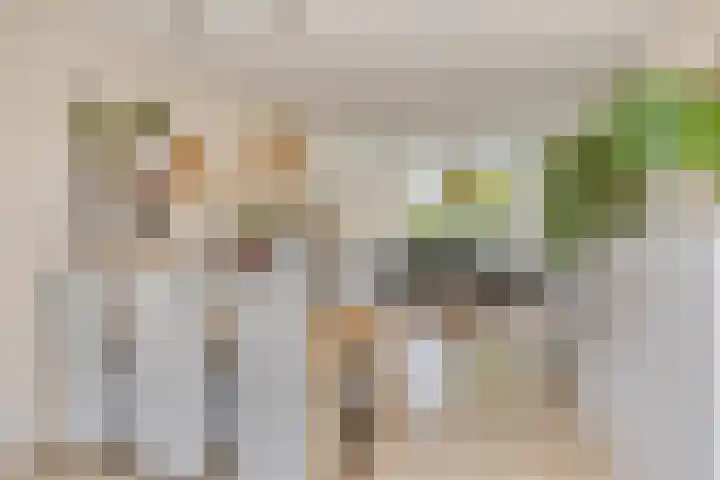 Oranjepad 20 Goes thumbnail 13