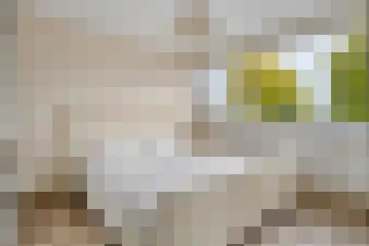 Oranjepad 20 Goes thumbnail 18