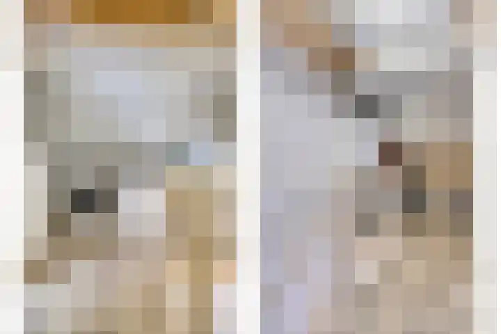 Oranjepad 20 Goes thumbnail 33