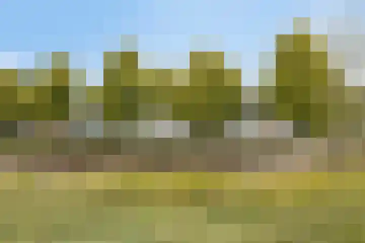 Oranjepad 20 Goes thumbnail 39
