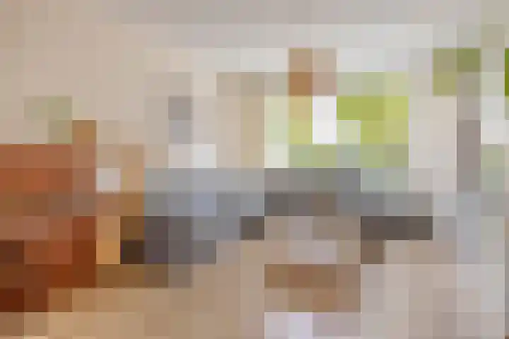 Oranjepad 20 Goes thumbnail 8