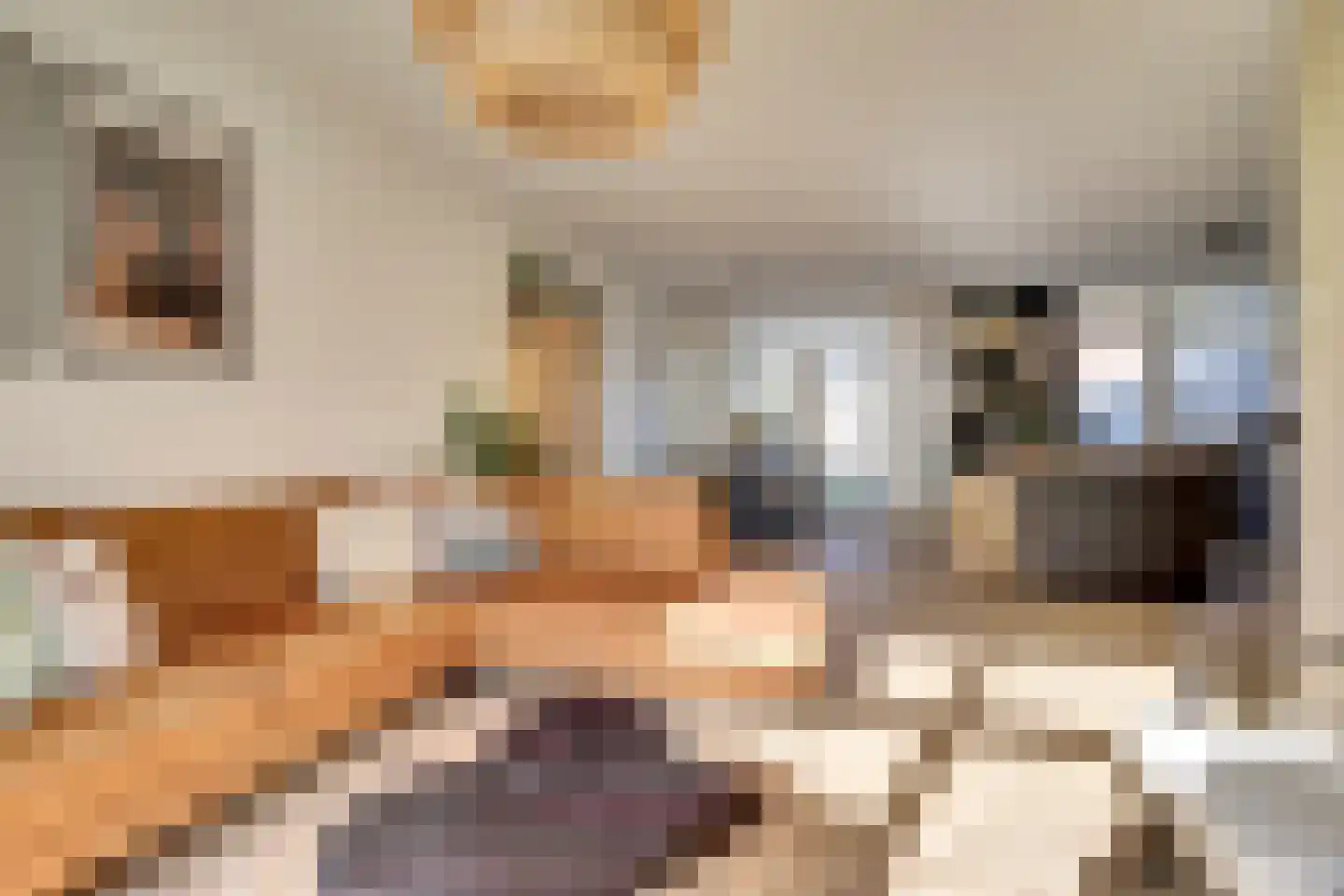 Oranjepad 30 Goes thumbnail 11