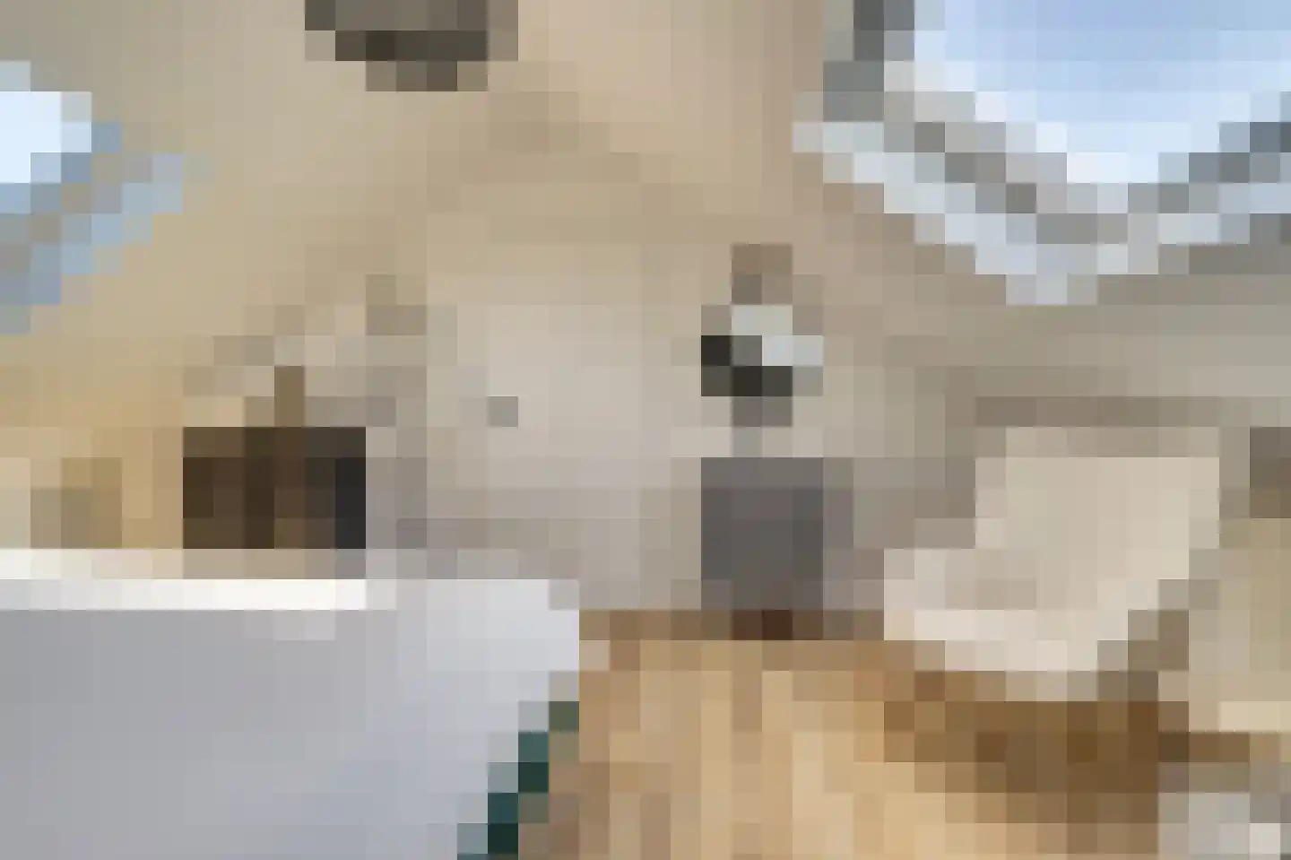 Oranjepad 30 Goes thumbnail 33
