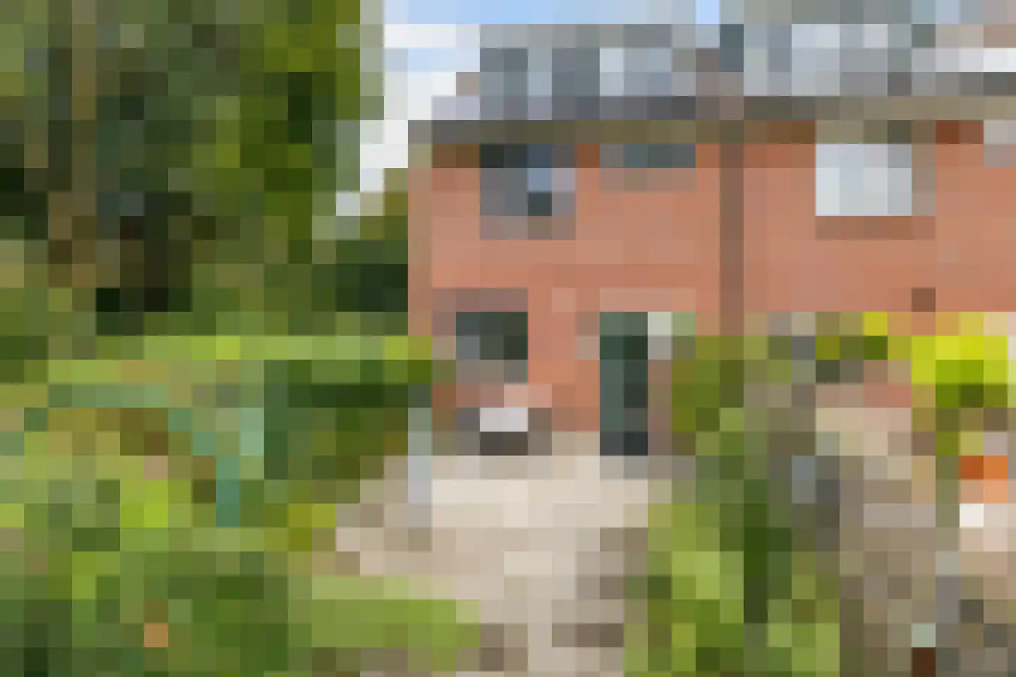 Oranjepark 29 Harmelen thumbnail 29