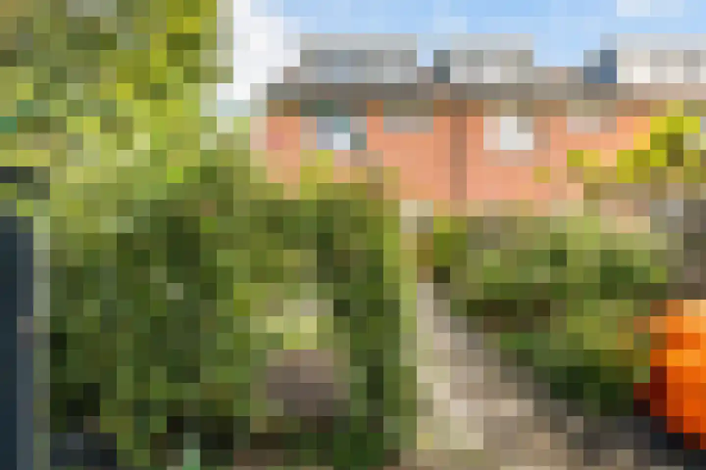 Oranjepark 29 Harmelen thumbnail 30