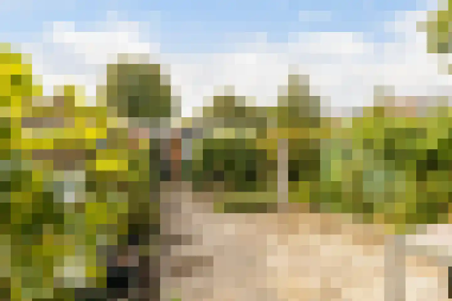 Oranjepark 29 Harmelen thumbnail 31