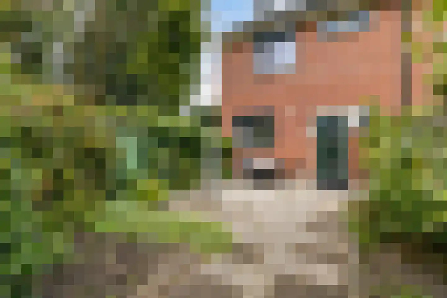 Oranjepark 29 Harmelen thumbnail 32