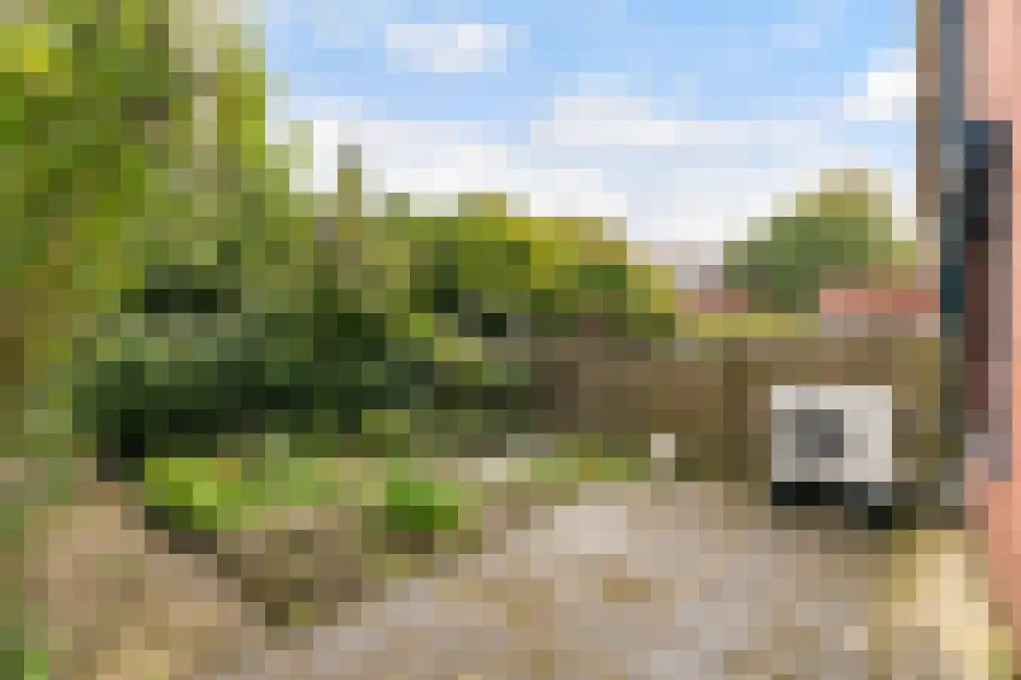 Oranjepark 29 Harmelen thumbnail 33