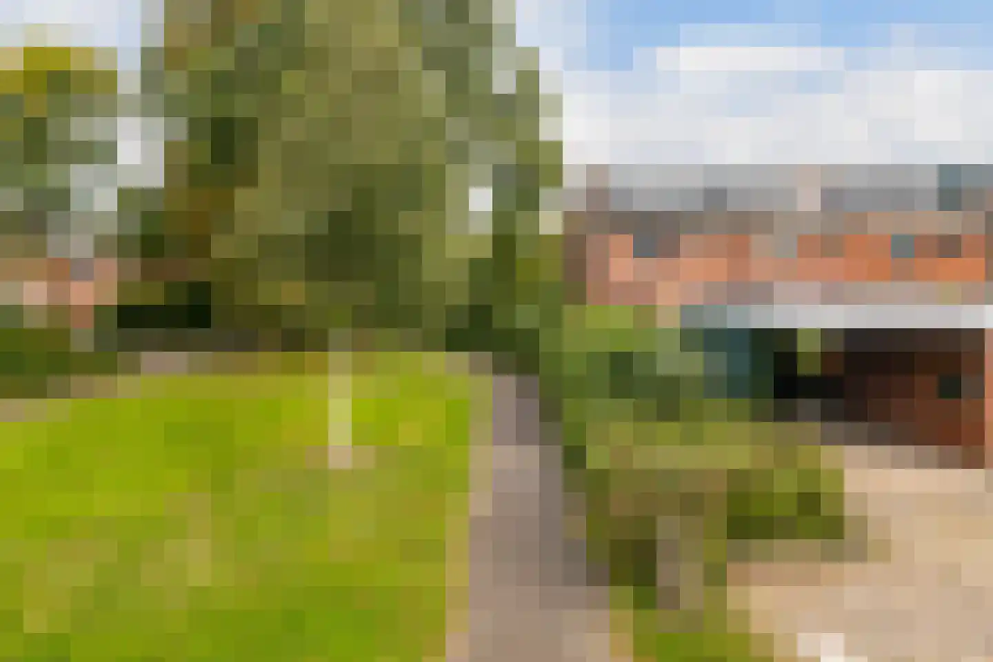 Oranjepark 29 Harmelen thumbnail 37