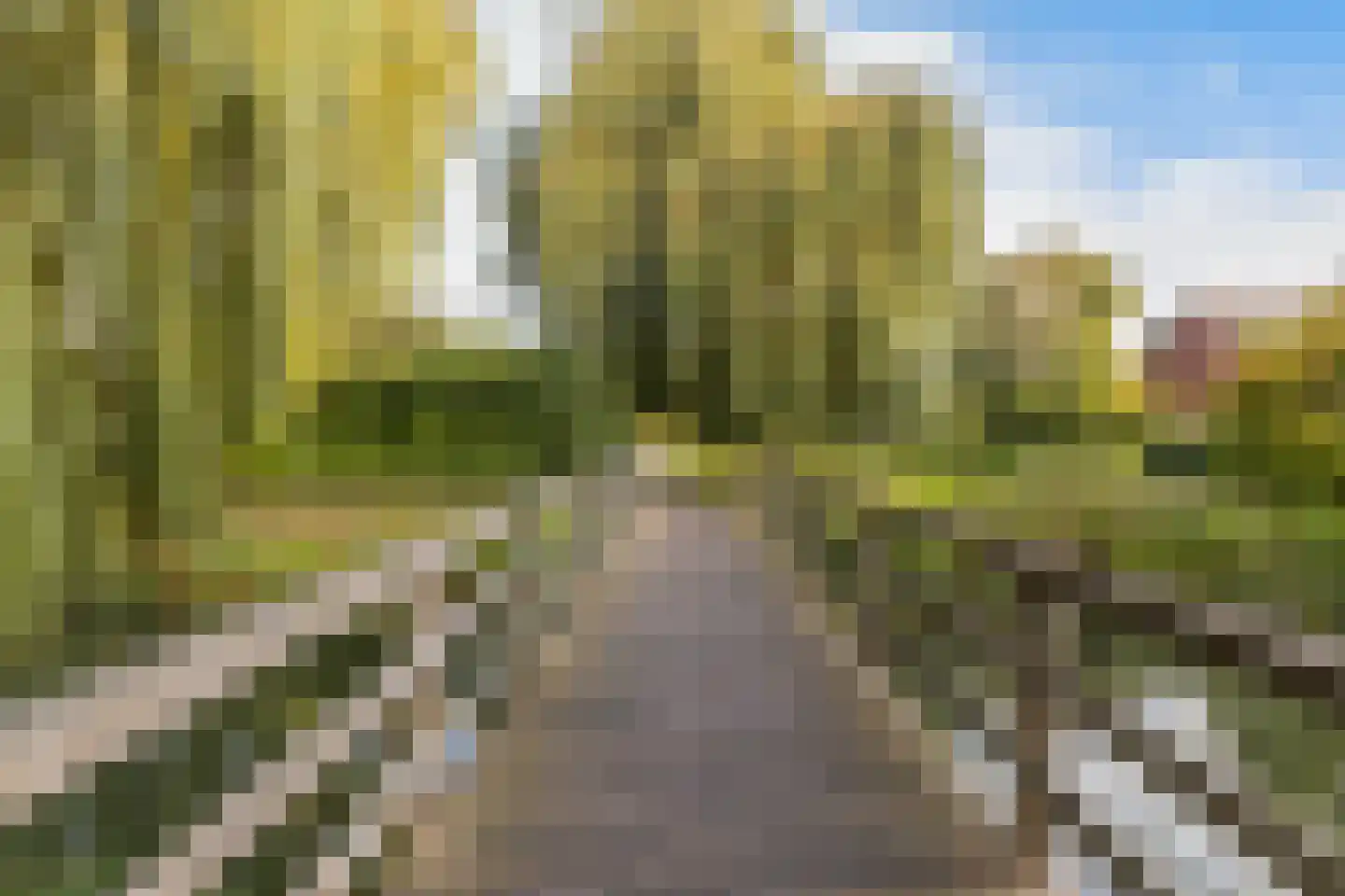 Oranjepark 29 Harmelen thumbnail 40